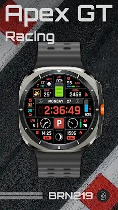 BRN219 Racing Watch Face screenshot 2