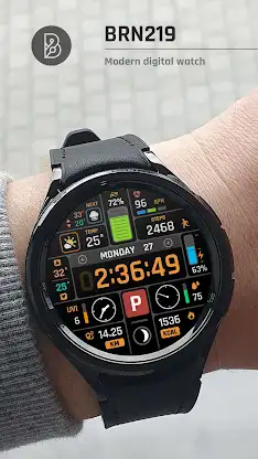 BRN219 Racing Watch Face screenshot 4