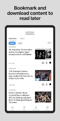 Pierre Capital Journal screenshot 4