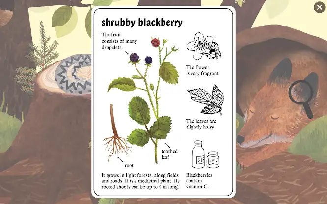 Little Mouse's Encyclopedia screenshot 2