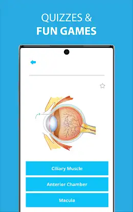 Human Anatomy Learning - 3D screenshot 4