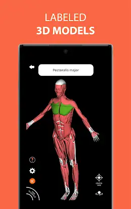 Medical Terminology Learning Q screenshot 8