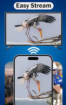 MirrorLink App for Car screenshot 2