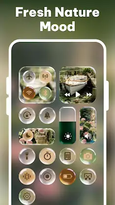 Control Theme: Custom Panel screenshot 5