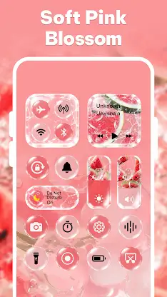 Control Theme: Custom Panel screenshot 2