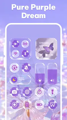 Control Theme: Custom Panel screenshot 3