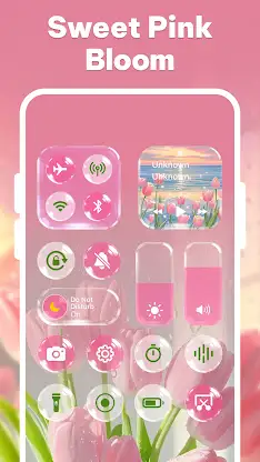 Control Theme: Custom Panel screenshot 4