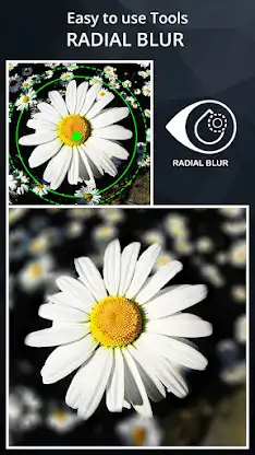DSLR Camera Blur Effects screenshot 2