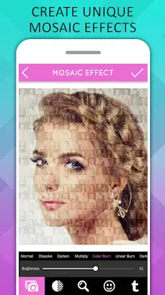 Mosaic Photo Effects screenshot 2