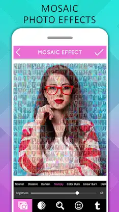 Mosaic Photo Effects screenshot 1