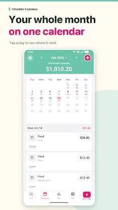 HINAKKO Expense Manager screenshot 7