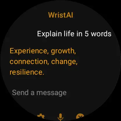 WristAI: GPT Ai for smartwatch screenshot 6