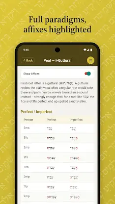 iAramaic: Biblical Aramaic aid screenshot 7