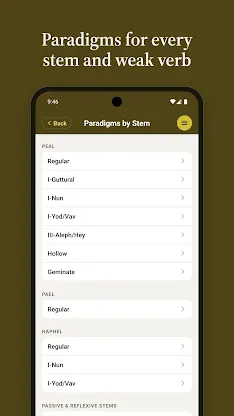 iAramaic: Biblical Aramaic aid screenshot 6