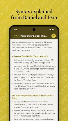 iAramaic: Biblical Aramaic aid screenshot 5