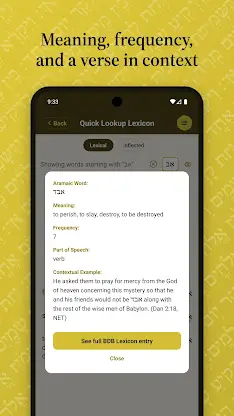 iAramaic: Biblical Aramaic aid screenshot 3