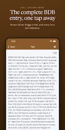 iHebrew - Biblical Hebrew aids screenshot 4