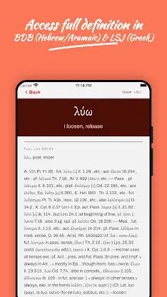 TriLex: Hebrew & Greek Lexicon screenshot 5