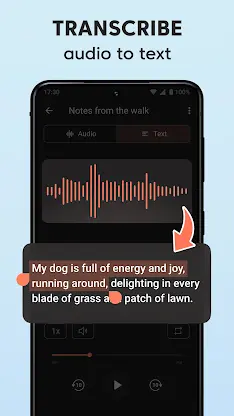 Voice Recorder: Record Audio screenshot 2