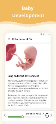 Pregnancy App screenshot 2