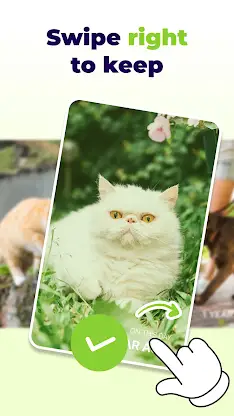 Swipelit: Photo Delete Swipe screenshot 2