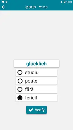 German - Romanian screenshot 5