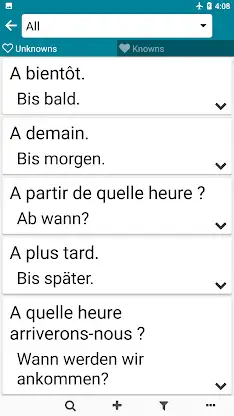 French - German screenshot 3