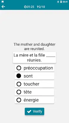 French - English screenshot 8