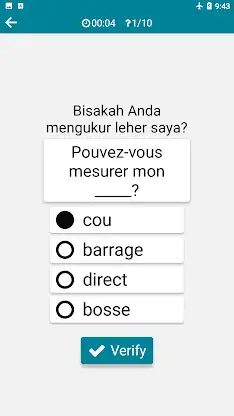 Indonesian - French screenshot 8