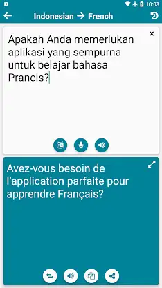 Indonesian - French screenshot 3
