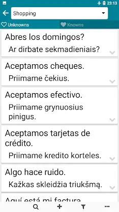 Lithuanian - Spanish screenshot 4