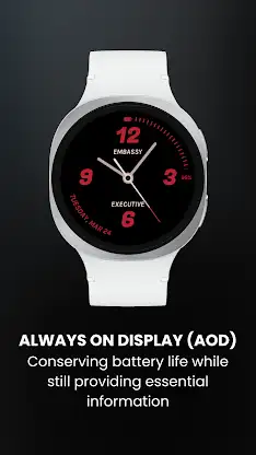Embassy V: Minimal Analog Face screenshot 3