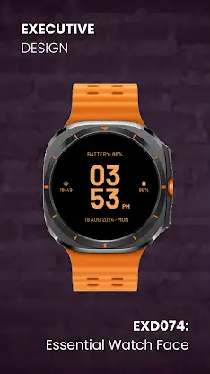 EXD074: Essential Watch Face screenshot 6