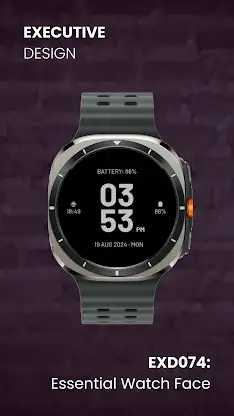 EXD074: Essential Watch Face screenshot 7