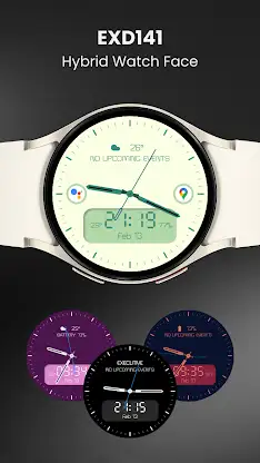 EXD141: Hybrid Watch Face screenshot 5