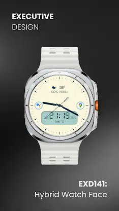 EXD141: Hybrid Watch Face screenshot 3