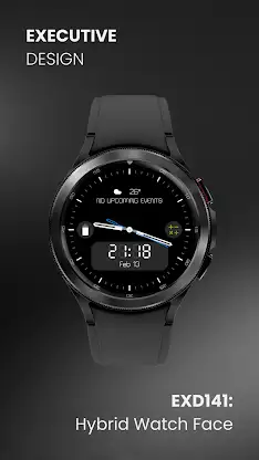 EXD141: Hybrid Watch Face screenshot 2