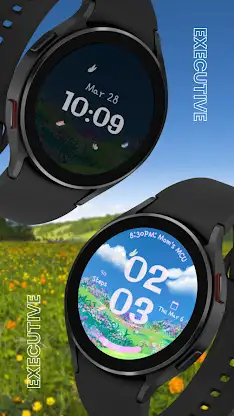 EXD147: Digital Spring Hill screenshot 1