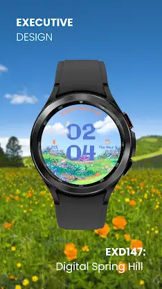 EXD147: Digital Spring Hill screenshot 2