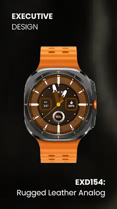 EXD154: Rugged Leather Analog screenshot 3
