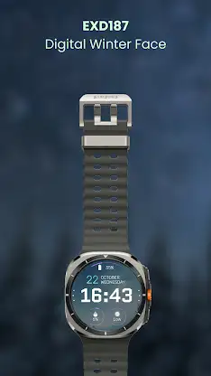 EXD187: Digital Winter Face screenshot 6