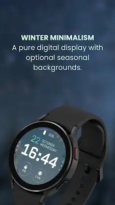 EXD187: Digital Winter Face screenshot 2