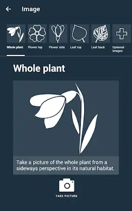 Flora Capture screenshot 3