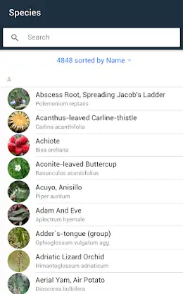 Flora Capture screenshot 4