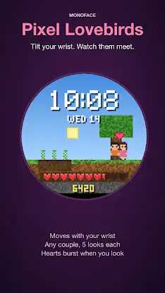 Pixel Lovebirds Watch Face screenshot 8