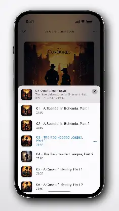 PlayBook Lite Audiobook Player screenshot 5