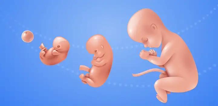 Idle 9 Months — Android game banner