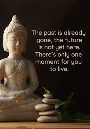 Buddha Quotes & Mindfulness screenshot 5