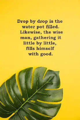Buddha Quotes & Mindfulness screenshot 1