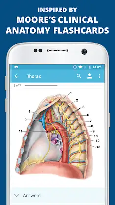 USMLE Clinical Anatomy screenshot 5